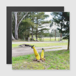 ガーデン失ったで再び磁気カード