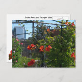 ガーデン威厳があるはがき ポストカード (正面/裏面)