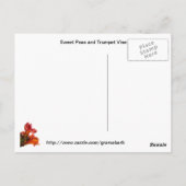 ガーデン威厳があるはがき ポストカード (裏面)