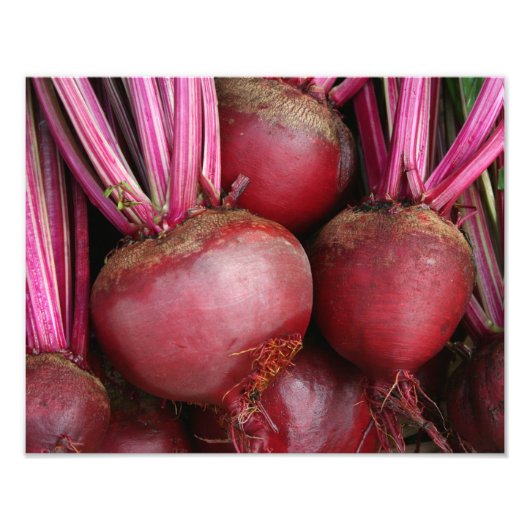 ガーデン新鮮なビーツの束 フォトプリント            (正面)