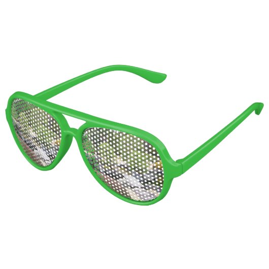 ガーデン日本の日本庭園 アビエーターサングラス (アングル)