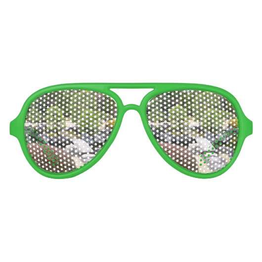 ガーデン日本の日本庭園 アビエーターサングラス (正面)