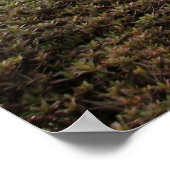 ガーデン日本の-02 ポスター (角)