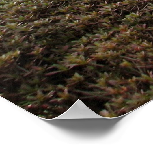 ガーデン日本の-02 ポスター (角)