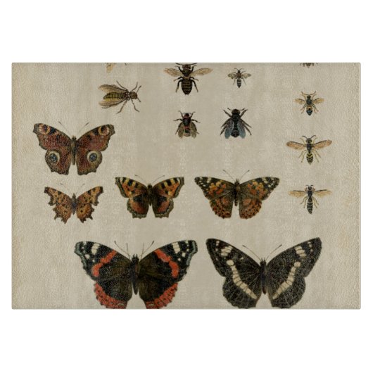 ガーデン昆虫バイビジョンスタジオ カッティングボード (正面)