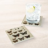 ガーデン昆虫バイビジョンスタジオ ガラスコースター (アングル)