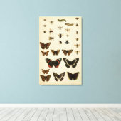 ガーデン昆虫バイビジョンスタジオ キャンバスプリント (インサイチュ (ウッドフロア))