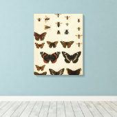 ガーデン昆虫バイビジョンスタジオ キャンバスプリント (インサイチュ (ウッドフロア))