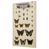 ガーデン昆虫バイビジョンスタジオ クリップボード (左)