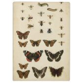 ガーデン昆虫バイビジョンスタジオ クリップボード (裏面)