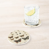 ガーデン昆虫バイビジョンスタジオ コースター (側面)