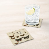 ガーデン昆虫バイビジョンスタジオ スクエアペーパーコースター (インサイチュ)