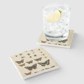 ガーデン昆虫バイビジョンスタジオ ストーンコースター (横)