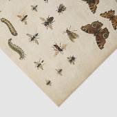 ガーデン昆虫バイビジョンスタジオ 薄葉紙 (詳細)