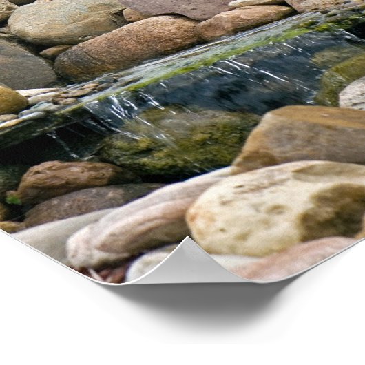 ガーデン秋 ポスター (角)