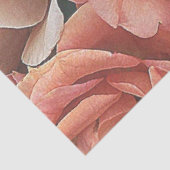 ガーデン素晴らしバラ、ソフトピーチ 薄葉紙 (詳細)