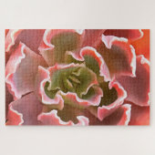 ガーデン素晴らし多肉質ピンクトーンリアリスティックアート ジグソーパズル (横)