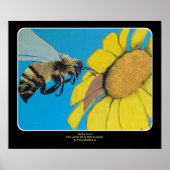 ガーデン絵を描ダンス ポスター (正面)