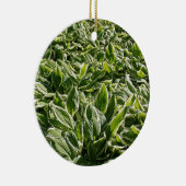 ガーデン葉グリーンパパ父の日植物ギフト セラミックオーナメント (右)