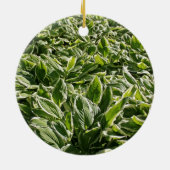 ガーデン葉グリーンパパ父の日植物ギフト セラミックオーナメント (裏面)