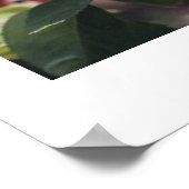 ガーデン遊 ポスター (角)