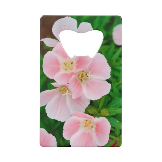 ガーデン3 クレジットカード栓抜き (正面)