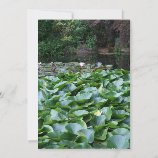 ガーデン5ロータス葬儀のお知らせ 招待状 (裏面)