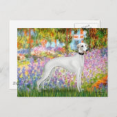 ガーデン – ウィペット11b ポストカード (正面/裏面)