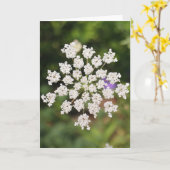 ガーデン・オ・ウィディン・トーキング・キャニオンズ,ニューメキシコ カード (黄色い花)