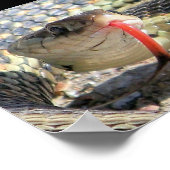 ガーデン・スネーク ポスター (角)