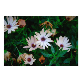 ガーデン フォトプリント           