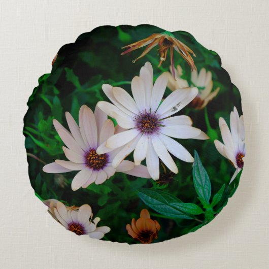 ガーデン ラウンドクッション (正面)