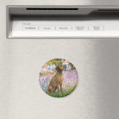 ガーデン – Vizsla 1 マグネット (インサイチュ (食洗機))