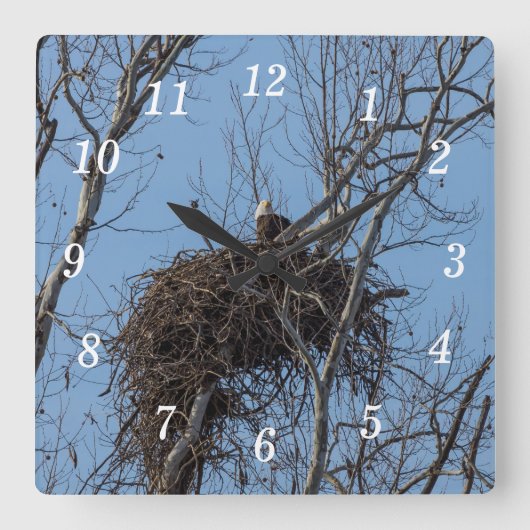 ガードイーグル壁時計 スクエア壁時計 (正面)