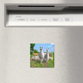 『ガード・ラマ』 マグネット (インサイチュ (食洗機))