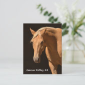 ガーナーバレーポストカード ポストカード (スタンド正面)