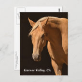 ガーナーバレーポストカード ポストカード (正面/裏面)