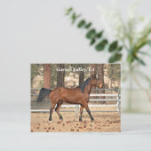 ガーナーバレーポストカード ポストカード (スタンド正面)