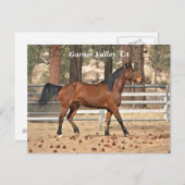 ガーナーバレーポストカード ポストカード (正面/裏面)