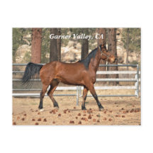 ガーナーバレーポストカード