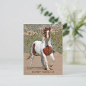 ガーナーバレーポストカード ポストカード (スタンド正面)