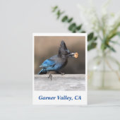 ガーナーバレーポストカード ポストカード (スタンド正面)