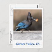 ガーナーバレーポストカード ポストカード (正面/裏面)