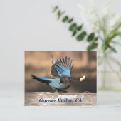 ガーナーバレー、CAポストカード ポストカード (スタンド正面)