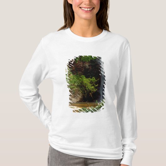 ガーナ：ウリ滝アグマツ滝（ボルタ） Tシャツ (正面)