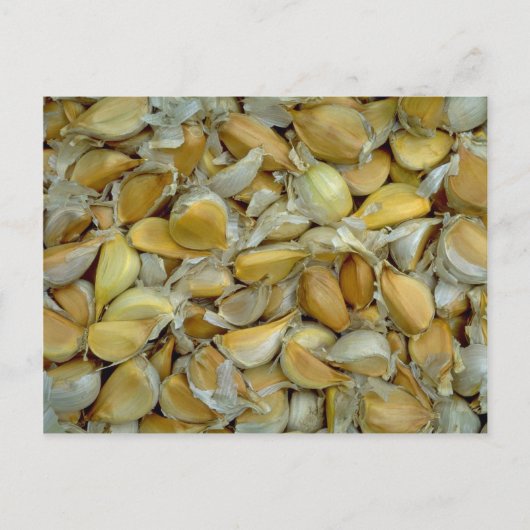 ガーニユニークック ポストカード (正面)