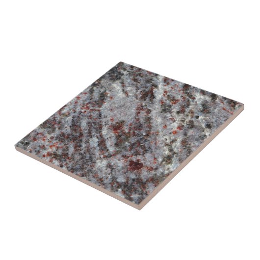 ガーネットが付いている片麻岩の石の表面 タイル (側面)