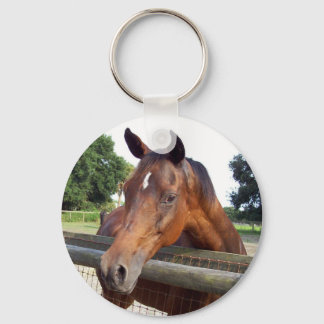 ガーネット キーホルダー