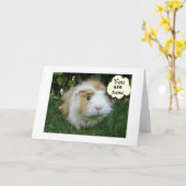 ガービルの美貌は今や友達より若い カード (黄色い花)