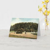 ガーフィールド公園、クリーブランドオハイオ州の1910年のヴィンテージ カード (黄色い花)